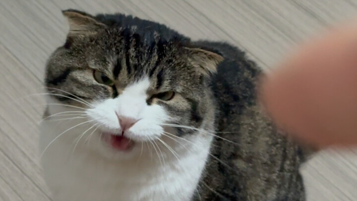A classic sucking expression!