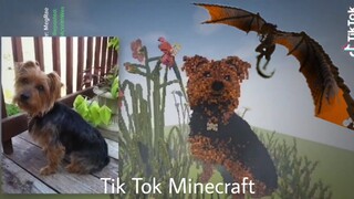 Tik Tok Minecraft #33 - Thách Bạn Build Đẹp Như Trong Video