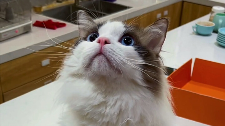 Sang jenius biasa-biasa saja