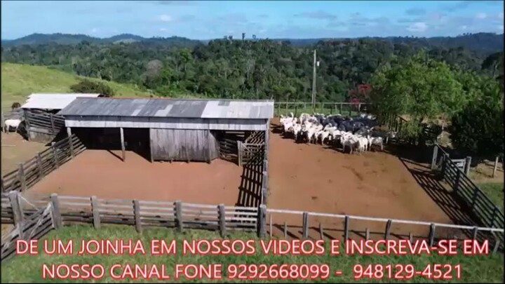 FAZENDA COM 1360 ALQUEIRÃOA VENDA cmc