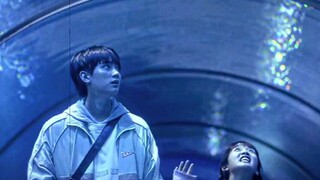 when I fly towards you aquarium scene