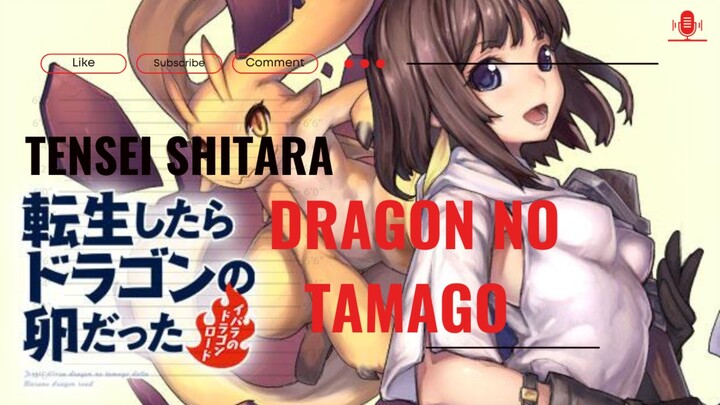 Isekai Paling Aneh! Reinkarnasi jadi Telur Naga