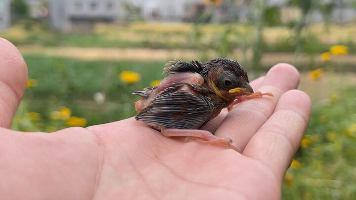 Gaya rambut ini keren banget!