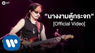 คาราบาว - นางงามตู้กระจก (คอนเสิร์ต 35 ปี คาราบาว) [Official Video]