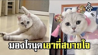 นุดมองอย่างนั้นอย่าบอกนะว่า .. เอาที่สบายใจเล๊ย !! #รวมคลิปฮาพากย์ไทย