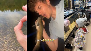 Sulit, kepribadian ikan ini agak kuat
