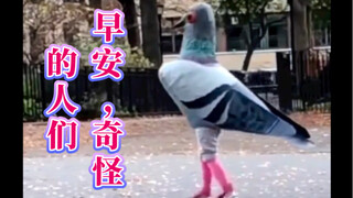 早安，奇怪的人们