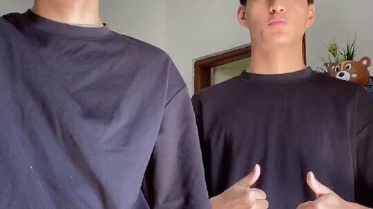 Harvy&Kirvy Tiktok mash up
