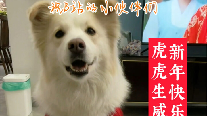 ช่วงวันหยุดจัดส่งพัสดุจบลงแล้ว ขอกล่าวคำอวยพรปีใหม่ให้กับชาวบิลิบิลด้วยนะคะ