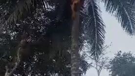 ngeri tanpa pengaman😰