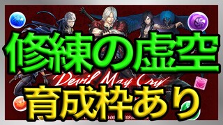 【パズドラ】DevilMayCry修練の虚空を育成枠ありで周回【ユージオ】