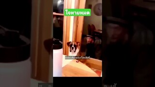 ใจหายหมด