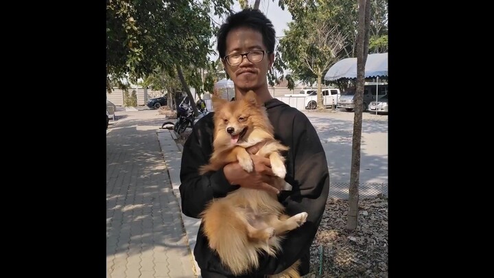 มีแต่🐕🐕🐕