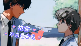【桃矢x雪兔】当年是我眼瞎没看出来！以为是像家人一样的好兄弟 第一次剪视频 可能不太好 将就将就看吧(●°u°●) 」