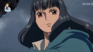 Kizaru Aoji sheds tears! Luffy vs. the tragic Zefa! The final ending of the despairing general! One 