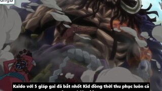 Tiền Truy Nã Của Luffy Dự Đoán Số Tiền Truy Nã Băng Mũ Rơm Sau Arc Wano p4