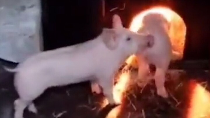 “Em lừa anh bảo đây là thiên đường”