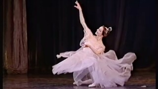 【芭蕾】Natalia Ledovskaya《蝴蝶》女变奏