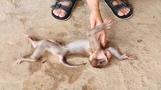 Adorable Baby Liheang Very Happy Playing Outside With Mom