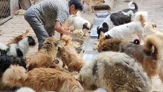 Menantang suhu tinggi, saya membuat makanan berupa roti kukus dengan telur, bebek, dan daging untuk 