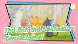 [Thủ lĩnh thẻ bài Sakura] Kero&Spinel_A1
