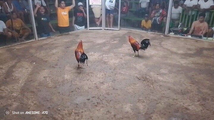 R.A.J Backyard.1st.fight.sariling palahe.Win