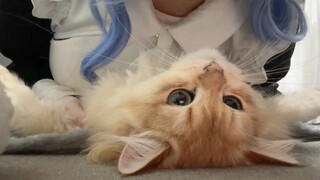 Accepting fate's arrangement...