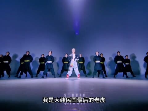 Is it a tiger🐯 or a hamster🐹