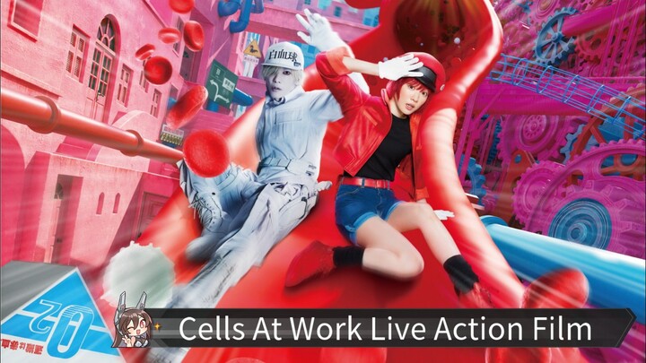 Ꮯ Ꭼ Ꮮ Ꮮ Տ  Ꭺ Ͳ  Ꮤ ϴ Ꭱ Ꮶ  ᏞᏆᏙᎬ ᎪᏟͲᏆϴΝ ᎷϴᏙᏆᎬ