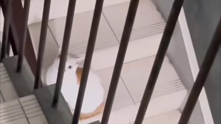 “Been gone for half a month and brought a girlfriend back with me”