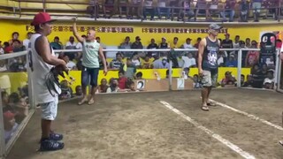 ito pp 2nd fight pa champion