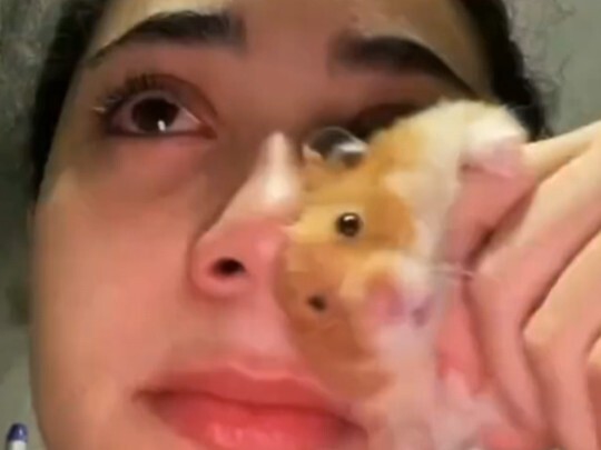 The young woman who raises a hamster got bullied by her boyfriend, so the little hamster stepped in 