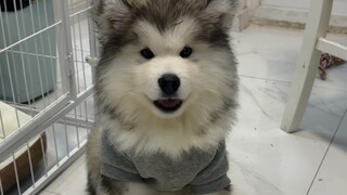 Alaska changes after one month