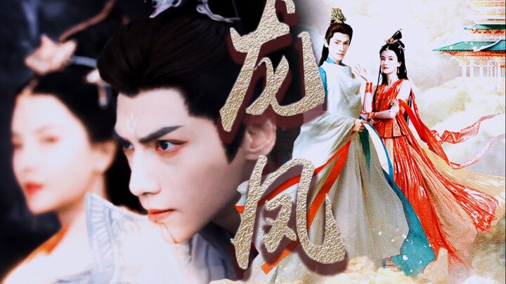 The strongest dragon and phoenix CP!! Mingye, when she died for you, were you sad because of the fri