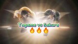 Awal Mula Persahabatan Togame & Sakura (Togame Sakura Fighting Moments)