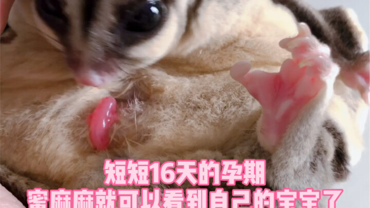 فيديو استغرق تصويره أكثر من 3 أشهر، سأصطحبكم لنشهد معاً رحلة ولادة ونمو المي الصغيرة. إنها ليست ناتش