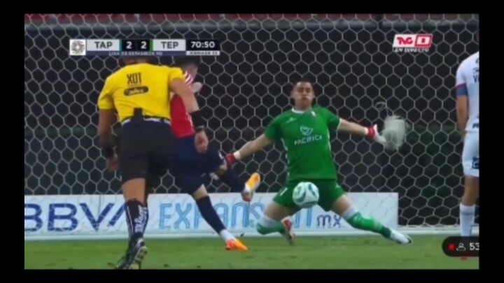 【Kehidupan Lucu Makhluk Bumi #87】