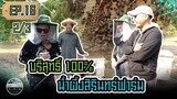 บริสุทธิ์ 100% น้ำผึ้งสิรินทร์ฟาร์ม Pure&Delicious Honey from SirinFarm  EP.16 (2/3)