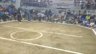 supper 2hits ulutan DMCA second fyt #RA ZOEY JADE