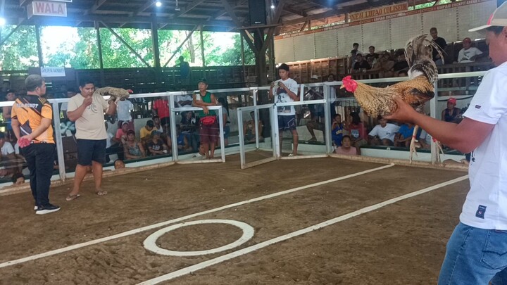 3hits pangalawa talo
