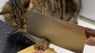 Cat: What big scenes haven't I seen?