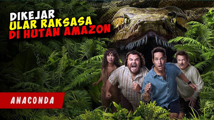 Nekat Pergi KEHUTAN AMAZON Berujung Diserang ULAR RAKSASA