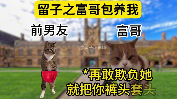 Mom Flavor Liu Zi's Spring, belike