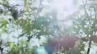 #SharingIsCaring #340 #UploadRandomVidsJustForDiversion #ChineseMiniDrama #JustWatch 😉