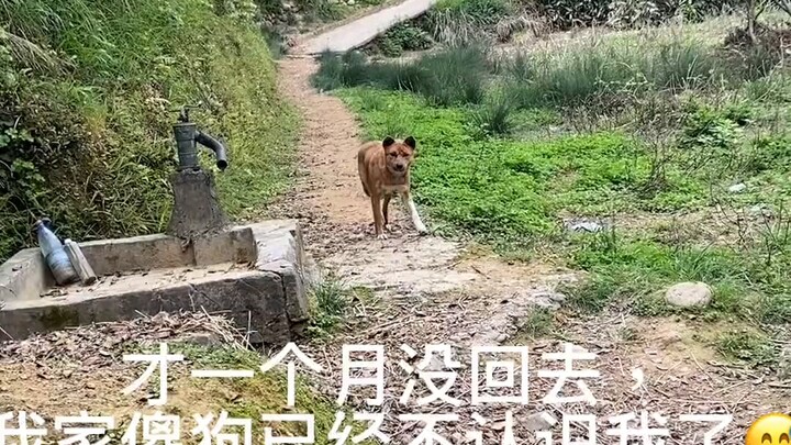 Nhận dạng khuôn mặt không còn hiệu quả nữa, nhưng đã có nhận dạng giọng nói.