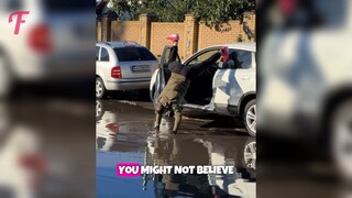 Impossible Not to Laugh  The Funniest Moments of the Month!