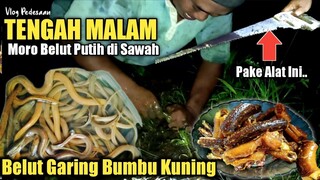 Ngobor Belut Pake Gergaji‼️ Dapat Seember, Masak Belut Goreng Bumbu Kuning, Masakan Kampung