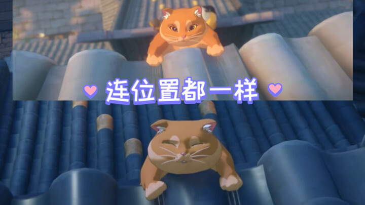 ก็ยังเป็นนายอีกแล้ว! หมาส้ม: ฉันตกไปสองครั้งแล้ว