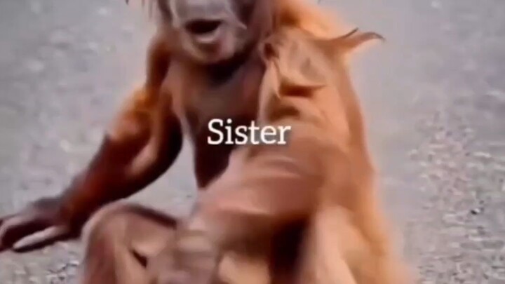 so fanny video pless