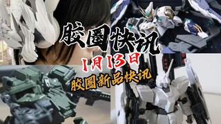 【1月13日胶圈快讯】